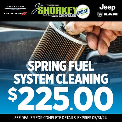 $225.00 Spring Fuel System Cleaning